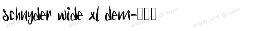 schnyder wide xl dem字体转换